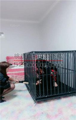 【艾琳】双S狗笼圈养重度虐打【双视角完整版】 bf34569