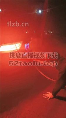 【昭玥】夜调-开车遛狗/骑马钻胯/绑树耳光 JS231209-8