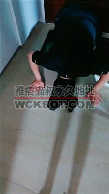 【梦熙】给圈养狗奴立规矩 JS240509-14