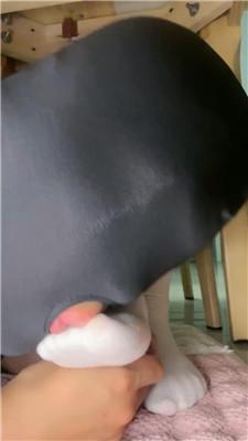 【观月】桌底视角-白袜羞辱 JS250526-16