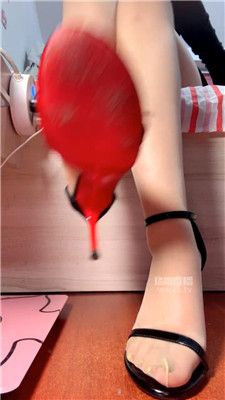 【咬猫】口哨戏耍SJ    260305-27