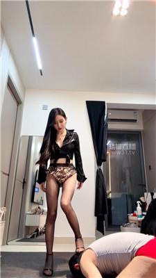 【风吟殿下S】酷炫训犬师TJ bf62267