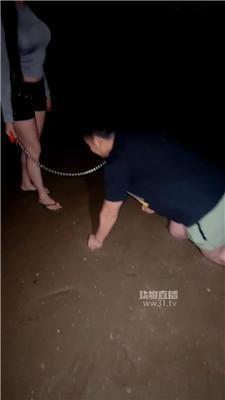 【小辣蕉S】海边遛狗户外调教 bf62654