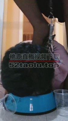 【傲雪】圈养奴卑微吃狗粮 G-210803-20