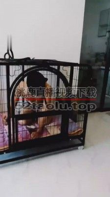 【香颜S】圈养家奴日常 G-210808-9