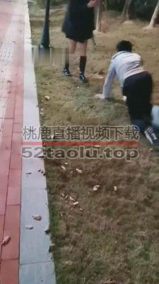 【丹祖宗】双S户外遛狗专场 bf8938