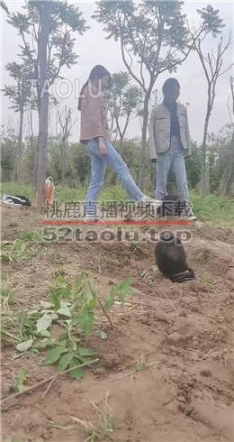 超强野外双S遛狗【上】 JS2204301