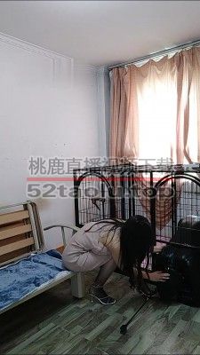 【榕s】首调狗笼驯化 bf16186