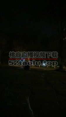 【思诺】户外偶遇素人调成狗 bf17097