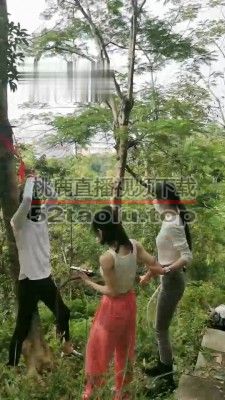 【暴力美学】双S野外吊绑鞭打狗【双视角版】 bf18585