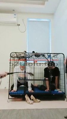 【安静大大】亲母女调两公狗【三视角超完整版】JS22102502