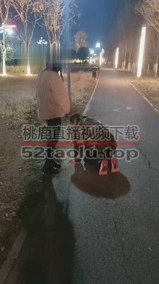 【重度刑奴】素人姐姐户外遛狗 bf22195