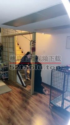 【十月】日式调教室首调废物 bf24641