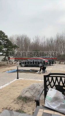 【宸宸】做御姐的圈养家奴 bf24866