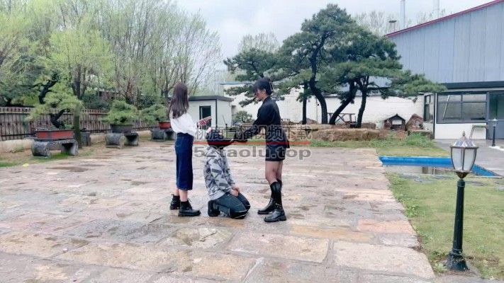 【宸宸】双S户外暴力耳光踢踹贱狗【续集双视角版】 bf26768