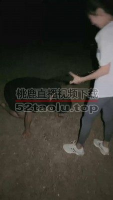 【尤黎】户外遛狗-车内恋足调【完整版】 bf31684