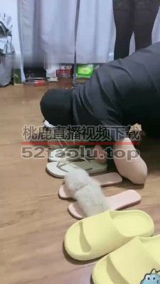 【糯米姐姐】超多脏鞋活体除臭/吃口水浓痰/黑丝塞嘴 bf33634