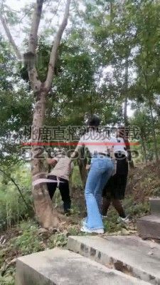 【暴力美学】双S野外捆绑处刑【双视角版】 bf34393