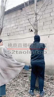 【沅芷大人】腹部痛击/到吐 bf37178