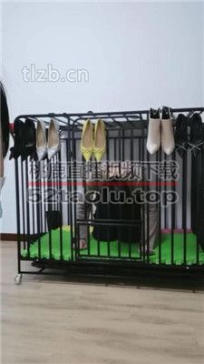 【凌儿女神】白领S-狗笼圈养刑虐 JS240118-2