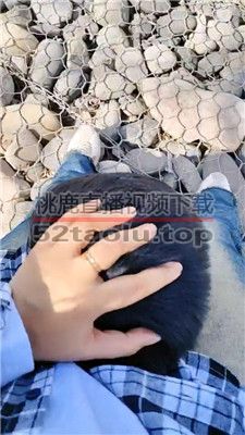 【平凡】户外玩宠物【上下合集】 JS240323-1