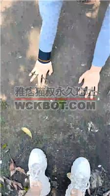 【半糖】户外狗爬遛狗/运动鞋踩/树枝鞭打【完整版】 JS240411-3