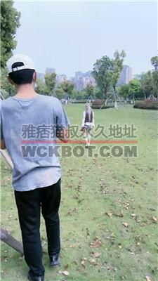 【陈莹斯】长靴S-户外-重度提档尾随狗/坐狗头 bf40452