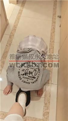 【yukis】JK萝莉主-强迫绿帽做狗【上】 bf41163