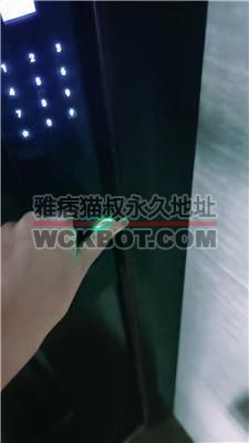 【汀兰学生主】下班回家狗奴伺候 JS240513-2