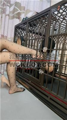 【小羊姐姐】囚禁狗笼/清理脏高跟/强制闻鞋/赏赐圣水 JS240512-22