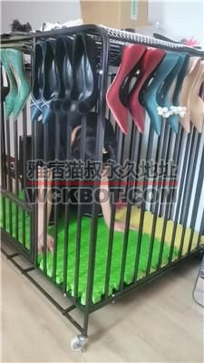【凌儿女神】狗笼囚禁母畜/高跟裸足玩虐/跪求圣水 bf41974