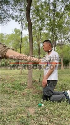 【喵主】户外虐-五花大绑强制虐打 bf42032