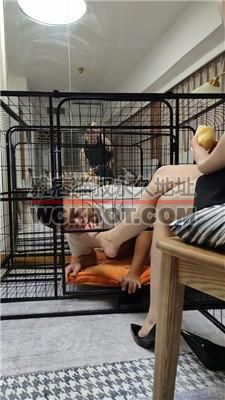 【慕公子】狗笼囚禁-裸足狂舔/脚插嘴喂食 bf42155