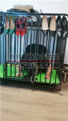 【凌儿】母畜囚禁狗笼/高跟玉足玩/转胯 bf42442
