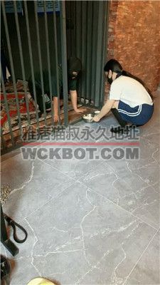 【芊芊】学生S-假期圈养犬化老师【双视角版】 JS240628-1