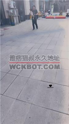 【刘二狗】开发技师反向-被我伺候 JS240705-1