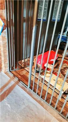 【圈养基地】多名学生放假圈养狗老师 bf43351