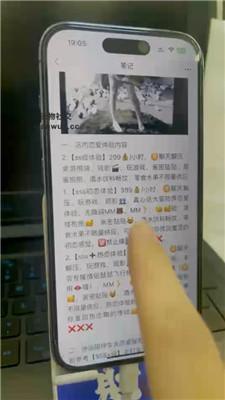 【狗哥】全程实录开发女仆店-耳光踩踏坐脸 JS240806-7