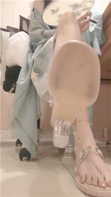 【芹泽蕾拉S】剧情deng JS240808-17