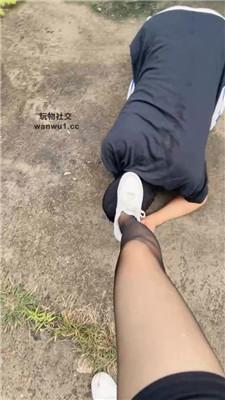 【喵主】户外虐狗-小白鞋黑丝踩虐/吊绑踢踹 bf44379