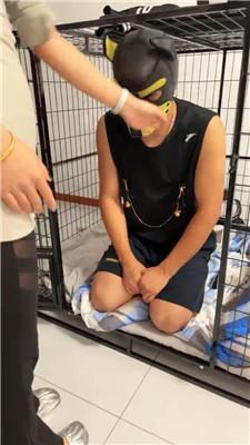 【双双主人】双S-把狗抓出来虐 JS240914-22