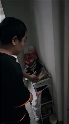 【喵主】户外楼梯间遛狗虐 JS241005-1