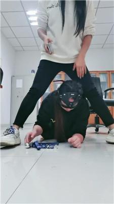 【璃茉老师】母畜-骑马/舔脏运动鞋/鞭打 JS241006-16