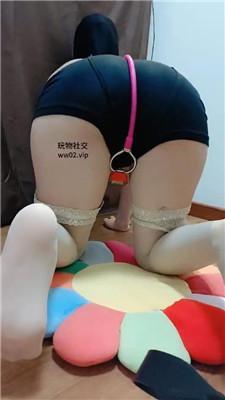 【小蜜蜂】男S-把自己老婆当狗虐 JS241108-27