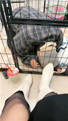 【佳佳】圈养狗笼/圣水泡面/高跟黑丝踩虐 bf46798