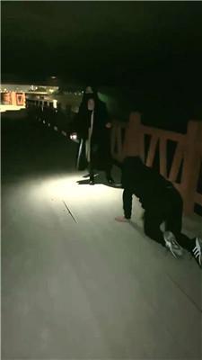 【绯闻王妃】户外骑马遛狗/舔超脏鞋底 JS241126-1