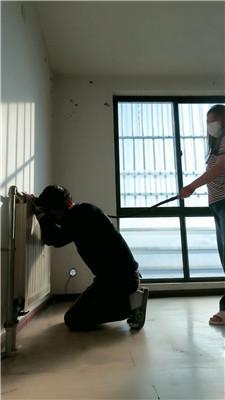 【青竹】超重度鞭打跑骚狗 JS241201-46