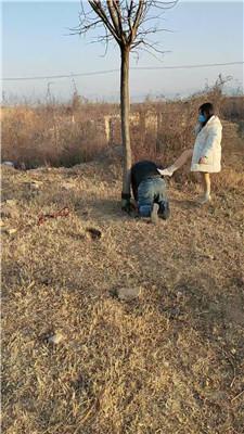 【沐颜】户外-遛狗驯化爬行/踩踏【双视角版】 bf49364