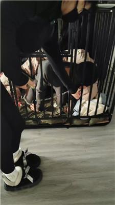 【宝宝大大】囚禁狗笼彻底犬化 JS250122-9