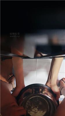 【冷颜】御姐S驯化家奴 JS250207-7